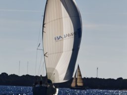 AUTUNNALE TARANTO 2026 - Foto